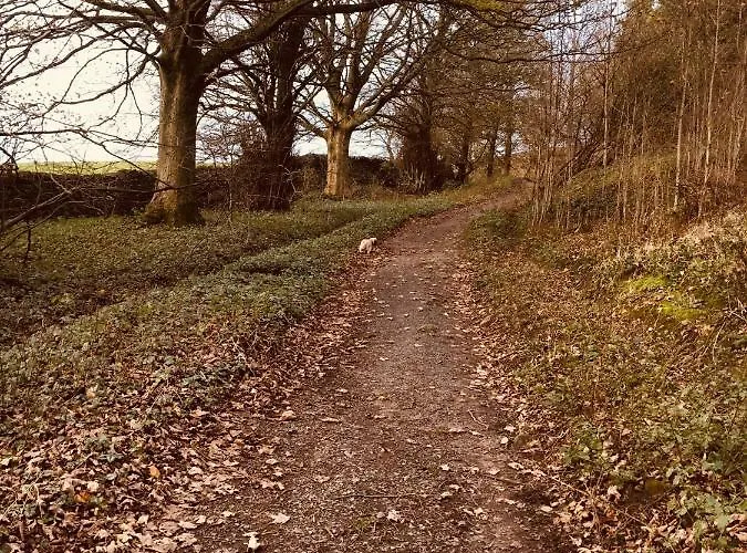 East Cote Dom wakacyjny Settle