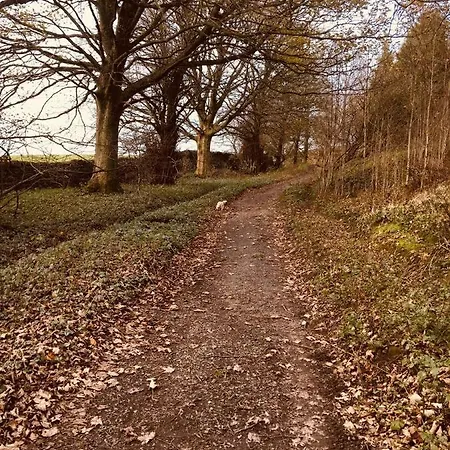 East Cote Dom wakacyjny Settle